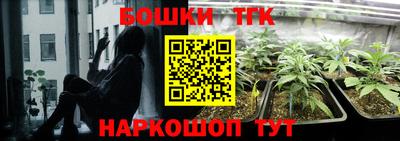 дживик Камышлов