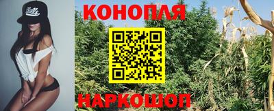 дживик Камышлов