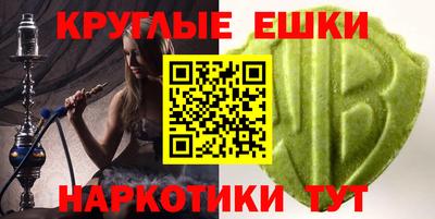 дживик Камышлов