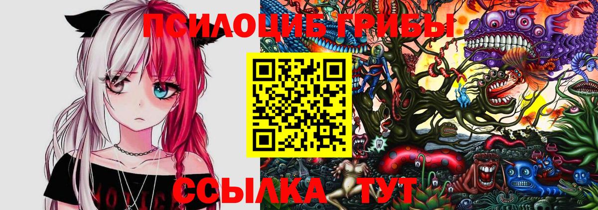 Галлюциногенные грибы мухоморы Минеральные Воды