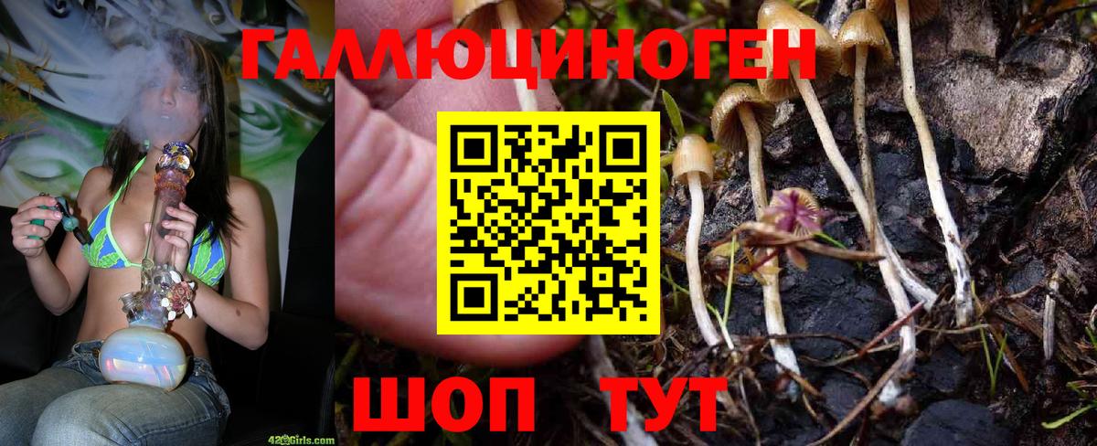 Минеральные Воды  Псилоцибиновые грибы Psilocybe  Вход с VPN 